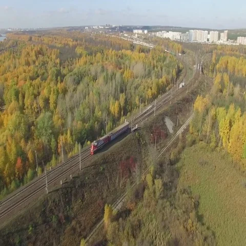 Train rides through an autumn forest on the horizon you can see the city. 動画素材 69635727