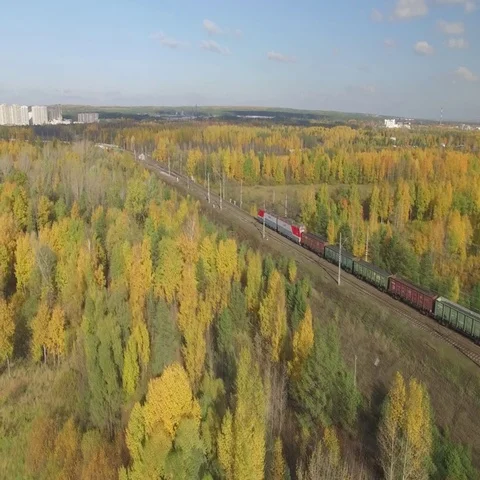 Train rides through an autumn forest on the horizon you can see the city. 스톡 동영상 69636440