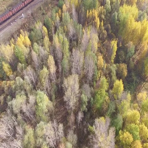 Train rides through an autumn forest on the horizon you can see the city. 動画素材 69636556