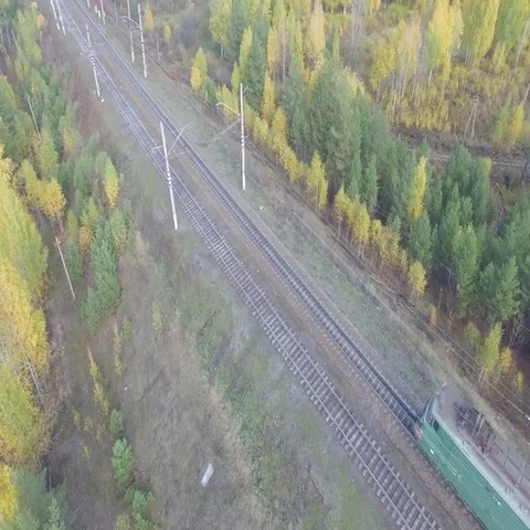 Train rides through an autumn forest on the horizon you can see the city. 動画素材 69636767