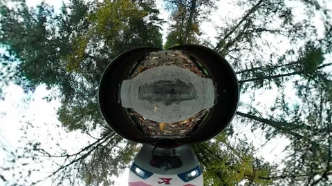 The train rides through the autumn forest and buzzes Stock Footage 201848168