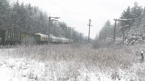 The train rides through the forest. Winter weather. Vídeo Stock 100822143