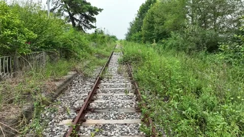 Train road in the woods 動画素材 303885394