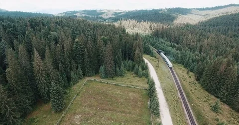 Train running over railway in forest Video stock 77932980