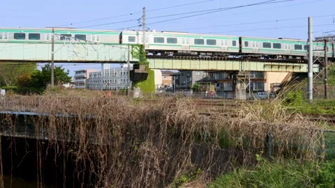 Train running on the railway bridge Stock Footage 239793378