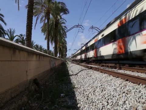 Train running on sunny day Stock Footage 80356079