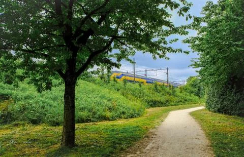 Train running through a park Stock Photos