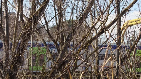 Train running through the trees - 4k - ProRes Stock Footage 147667061