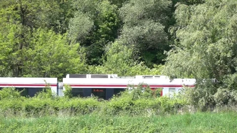 A train running on a track behind bushes Stock Footage 310210623