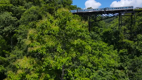 Train runs on a bridge over the trees top of Thailand's tallest railroad Stock Footage 198779953