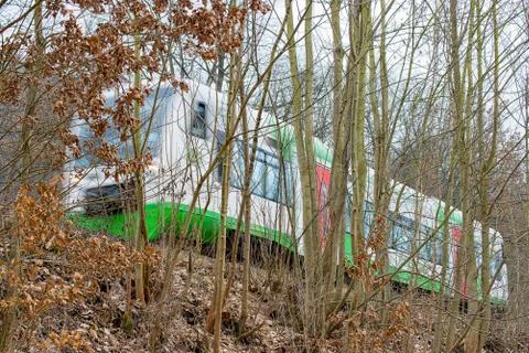 Train runs through the forest Foto stock