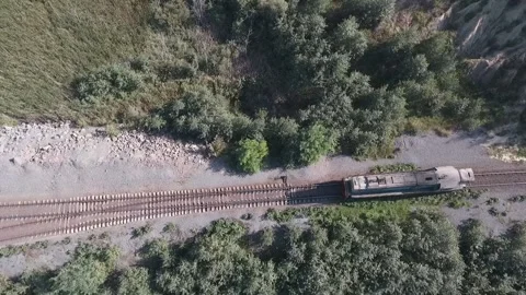 Train rushes in the middle of the woods Stock Footage 202062993