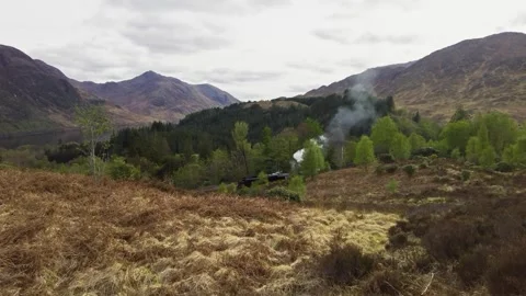 Train in Scotland Stock Footage 246630282