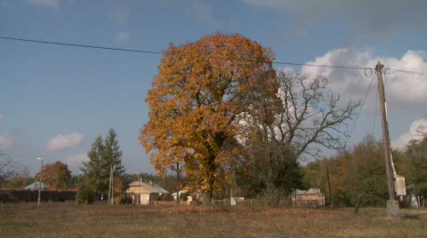 Train sign pan Stock Footage 741863