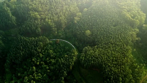 Train snakes through lush Haputale mountainous landscape. Green tea fields Stock Footage 274542609