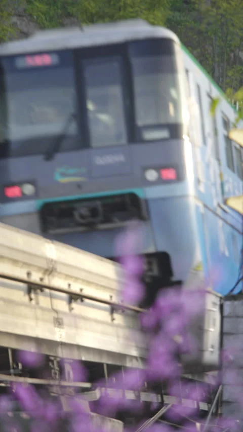 The train to spring in Chongqing,China Stock Footage 233583819