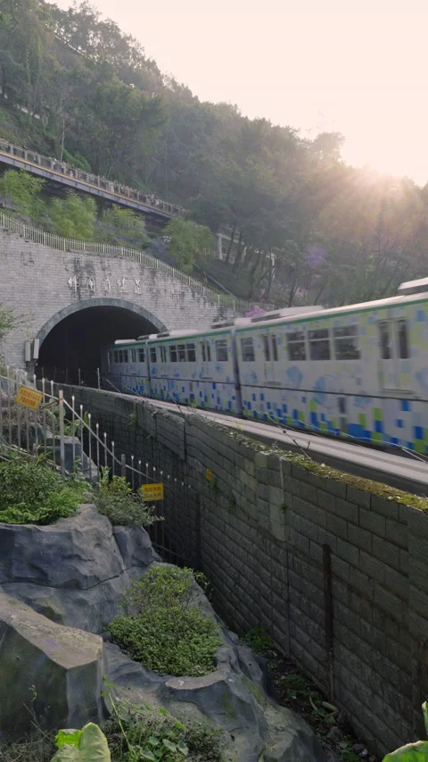 The train to spring in Chongqing,China Stock Footage 233584249