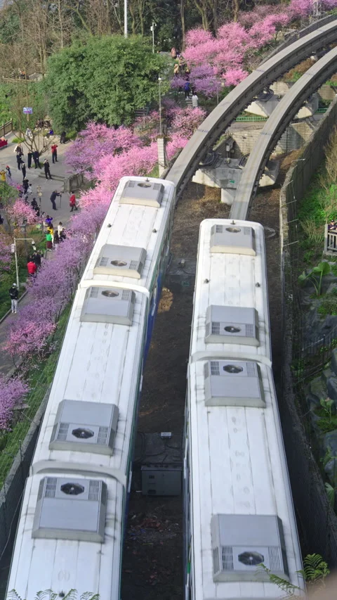 The train to spring in Chongqing,China Stock Footage 233584452