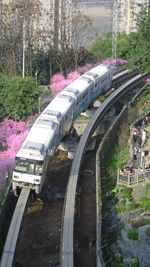 The train to spring in Chongqing,China Stock Footage 233585946