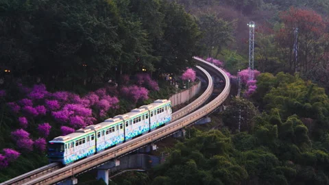 The train to spring in Chongqing,China Stock Footage 233586927