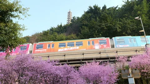 The train to spring in Chongqing,China Stock Footage 233587062