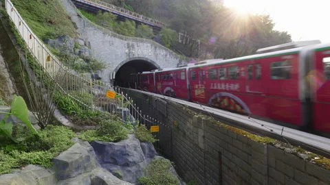 The train to spring in Chongqing,China Stock Footage 233587190