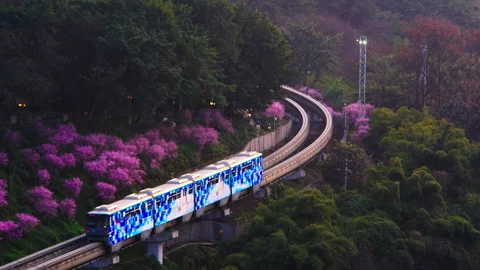 The train to spring in Chongqing,China Stock Footage 233587435