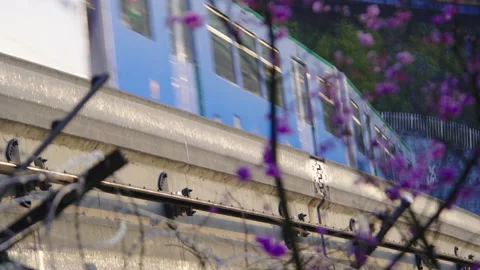 The train to spring in Chongqing,China Stock Footage 233587610