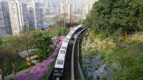 The train to spring in Chongqing,China Stock Footage 233588112