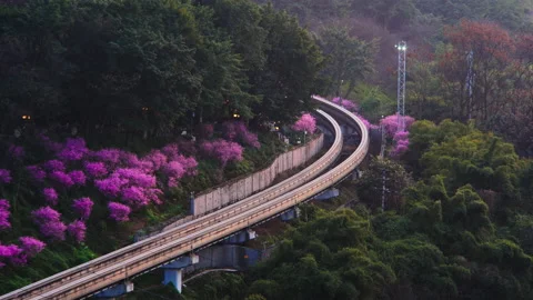 The train to spring in Chongqing,China Stock Footage 233588210