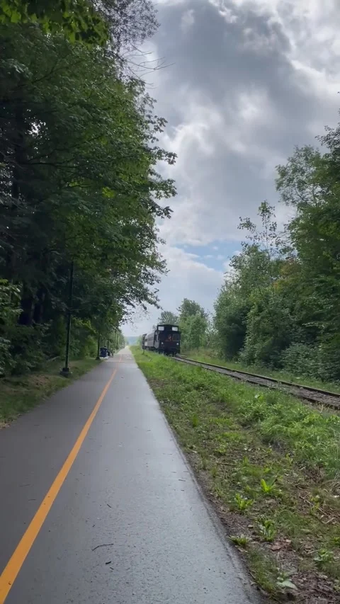 Train in St. Jacobs Vídeo Stock 323320439