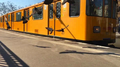Train Station with flying Pigeons in Super Slow Motion Stock Footage 61429148