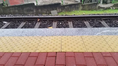 Train in station Stock Footage 44329909