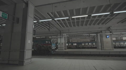 Train in the station Stock Footage 250496893