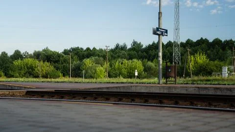 Train station, platform, a growing forest. Platform 2, Path 2, Path 3 Stock Photos