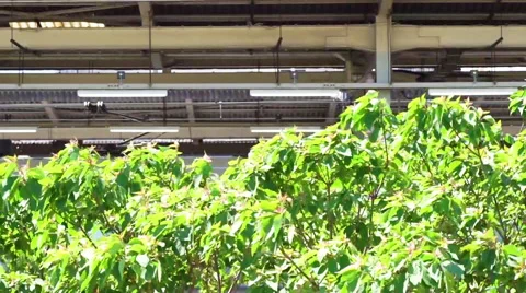 Train stop (commuting and transportation image) Stock Footage 66687080