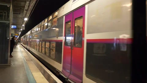 Train stops at underground station. City of Paris. Panning 4K Stock Footage 219605629
