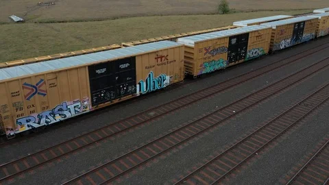 Train Switching Yard 3 Stock Footage 115550772