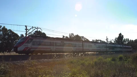 Train through field on a sunny day 库存影片 100469020