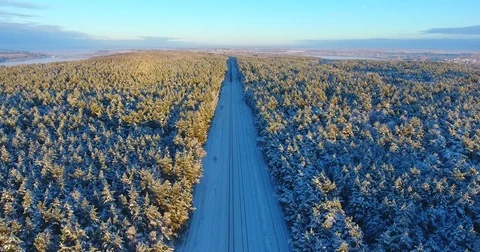 By Train Through The Forest Winter Road - 4 Stock Footage 73829408