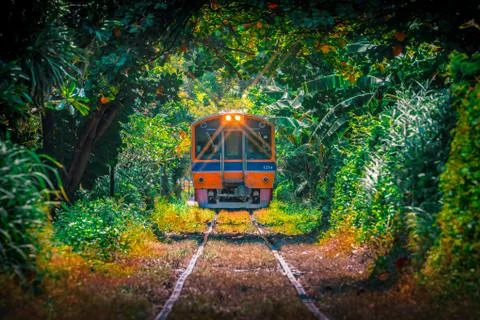 Train through the tree tunnel , Thai Railway Wongwain yai to Mahachai Line Stock Photos