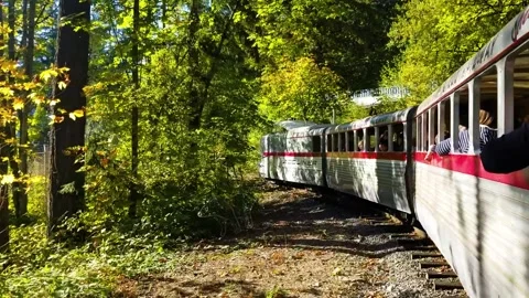 Train through trees travelling on tracks pan up Video stock 133100818