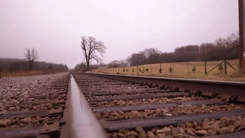 Train track with bird Video stock 155635377