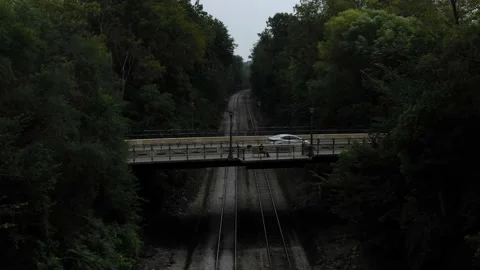 Train track in deep scary forest Stock Footage 141759308