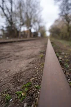 Train track in denmark. closeup rust on the tracks Stock Photos