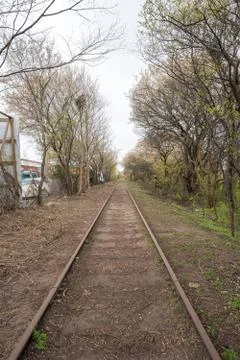 Train track in denmark. closeup rust on the tracks Stock Photos