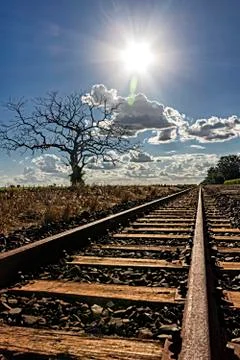 Train track with dried tree to the left with sun facing Stock Photos