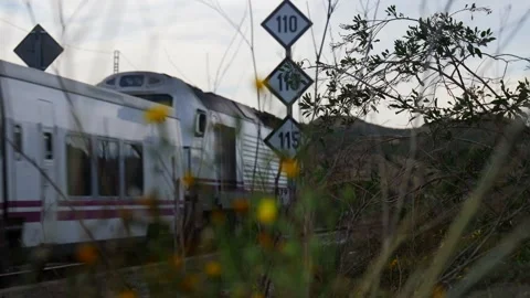 A train on the track. Focus shift from the grass to the train. Stock Footage 152856282