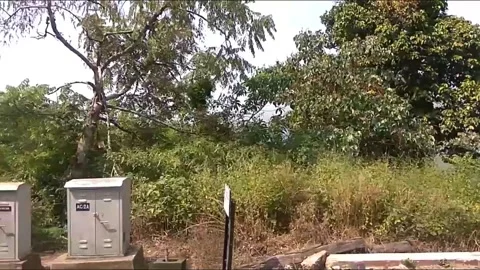 By train track 動画素材 154308092