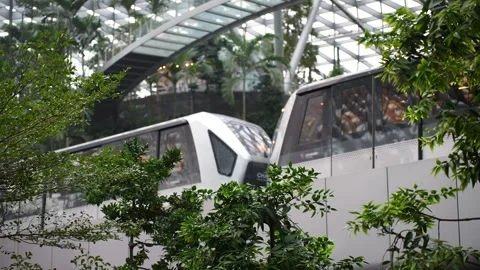 A train is on a track in a forest Stock Footage 318266839